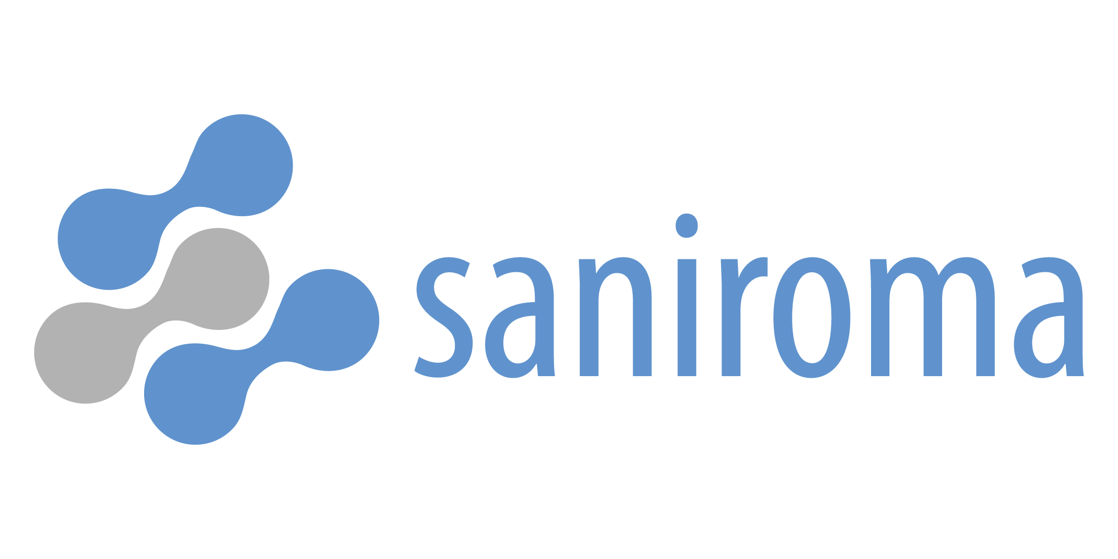 Saniroma Logo